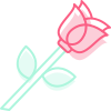 Rosa Rosa